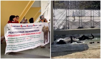 Malaysians Hold Protest Demanding Elephants In Japan Be Returned Home