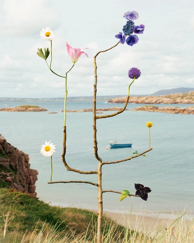 Jennifer Latour Preserves Ephemeral Beauty in Her Otherworldly Botanical Assemblages