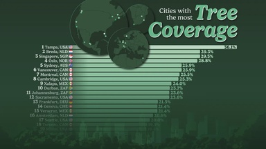Ranked: The World’s Cities With the Most Tree Coverage