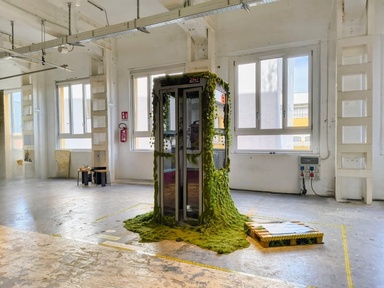 A Moss-Covered Payphone Just Became the Voice of 2147