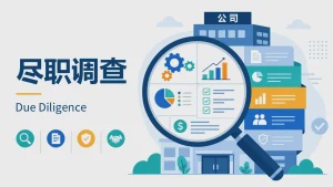 尽职调查（Due Diligence）：别在看不清楚的情况下买下一家公司