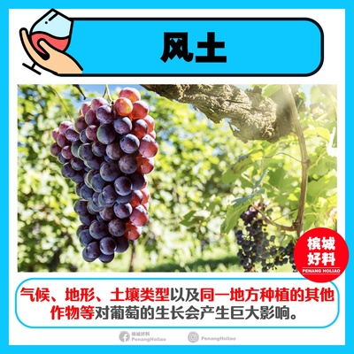 Image from: 9大品酒知识