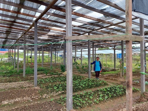 Image from: HEINEKEN Cares & SIROM implement measures to tackle food security woes in rural Sabah & Sarawak
