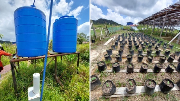 Image from: 喜力关怀、SIROM 携手解决东马农村地区的粮食安全问题