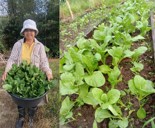 Image from: HEINEKEN Cares & Hopes Malaysia empower rural communities in Sabah through sustainable farming