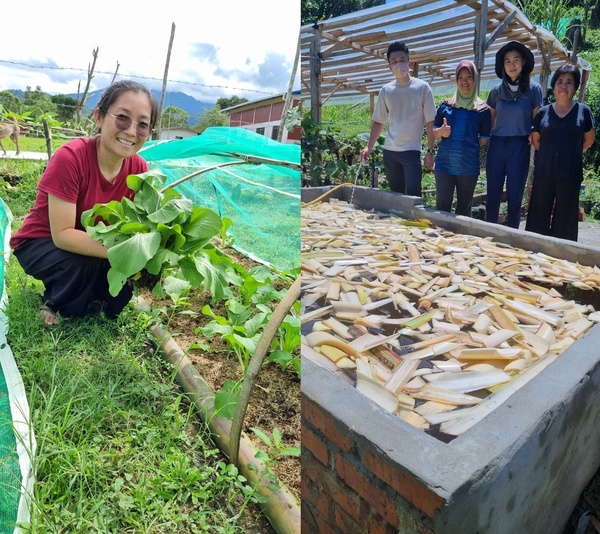 Image from: HEINEKEN Cares & Hopes Malaysia empower rural communities in Sabah through sustainable farming