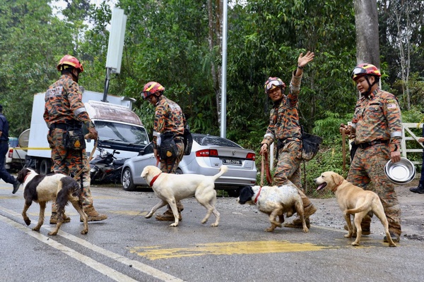 Image from: "Crouching Tiger, Hidden Dragons": A Golden Week For Michelle Yeoh And Malaysia's K9 Rescue Dogs!