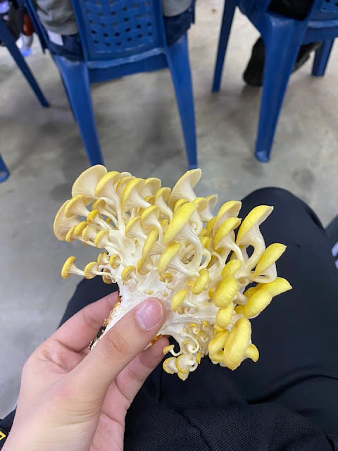 Image from: Mengapa pelajar sains lepasan SPM perlu memilih Asasi Sains Pertanian sebagai pilihan pertama dalam UPU? 