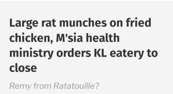 Image from: The Rat That Came for Fried Chicken for Christmas.