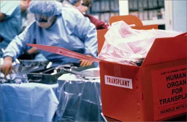 Image from: Selling kidneys and other human organs is illegal in Malaysia, offenders may face up to 15-year jail and fine