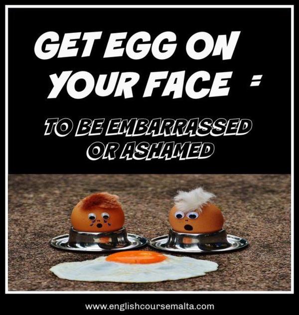 Image from: Speaking of idioms and PMX cabinet: From frogs under coconut shells to elephant in the room to price of eggs in India