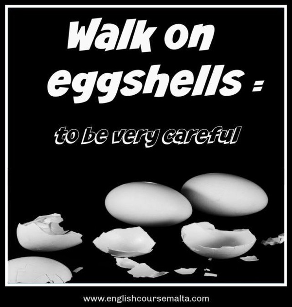 Image from: Speaking of idioms and PMX cabinet: From frogs under coconut shells to elephant in the room to price of eggs in India