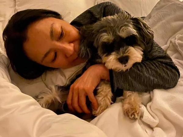 Image from: "Crouching Tiger, Hidden Dragons": A Golden Week For Michelle Yeoh And Malaysia's K9 Rescue Dogs!