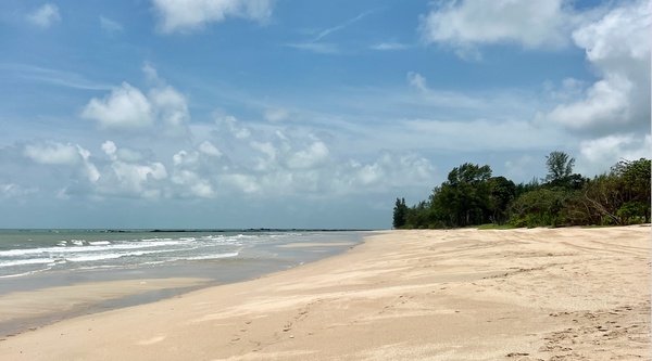 Image from: 5 Reasons to Visit Desaru Coast: An Unforgettable Getaway at Anantara Desaru Resort