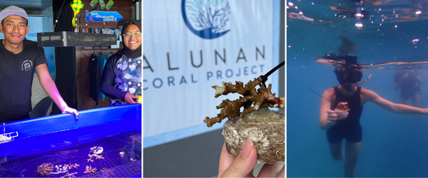 Image from: Escape to Paradise: Indulge in Unlimited Dining and Excursions at Alunan Resort in Perhentian Islands