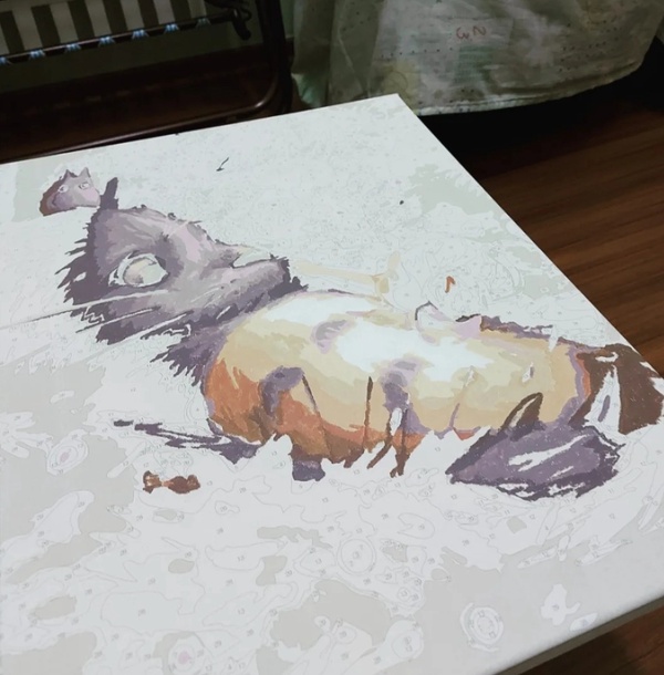 Image from: #麦走鸡 淘宝让我实现画家梦想?!宫崎骏龙猫数字油画初体验
