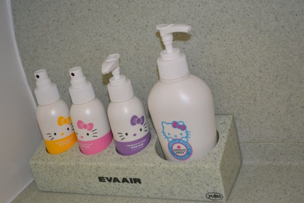 Image from: Pengalaman terbang bersama Hello Kitty dan Eva Air #TheGoodStuff