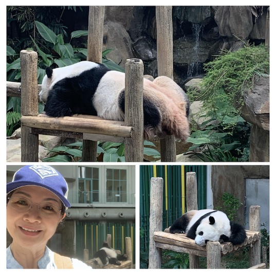 Image from: Zoo Negara, Malaysia Biggest Zoo #TheGoodStuff