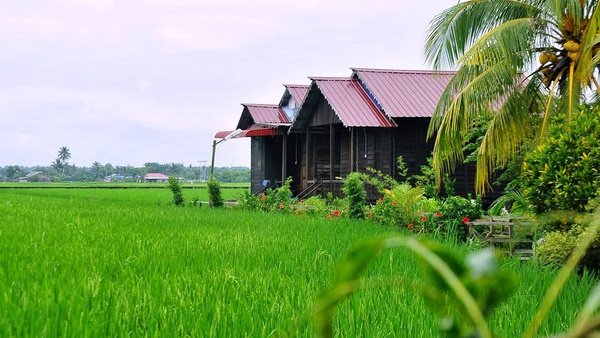 Image from: Want to Beat the Crowds? Lesser-Known Vacation Spots in Malaysia for a Budget-Friendly Adventure #TheGoodStuff