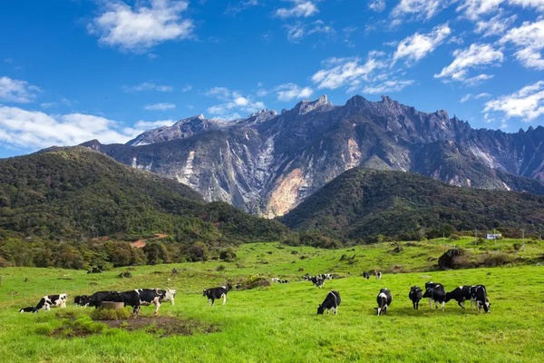 Image from: Want to Beat the Crowds? Lesser-Known Vacation Spots in Malaysia for a Budget-Friendly Adventure #TheGoodStuff