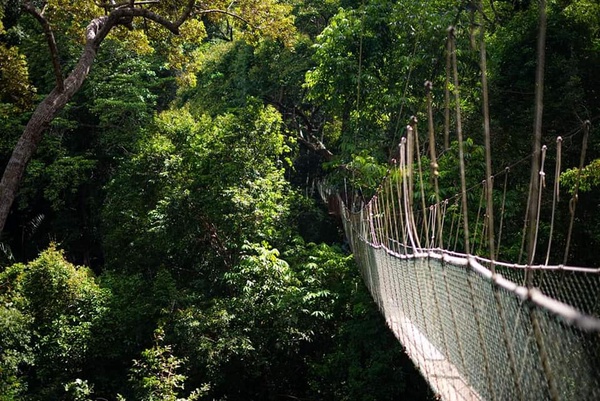 Image from: Want to Beat the Crowds? Lesser-Known Vacation Spots in Malaysia for a Budget-Friendly Adventure #TheGoodStuff
