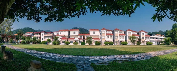Image from: 落地生根到落叶归根,中国南方寻根之旅 #麦走鸡