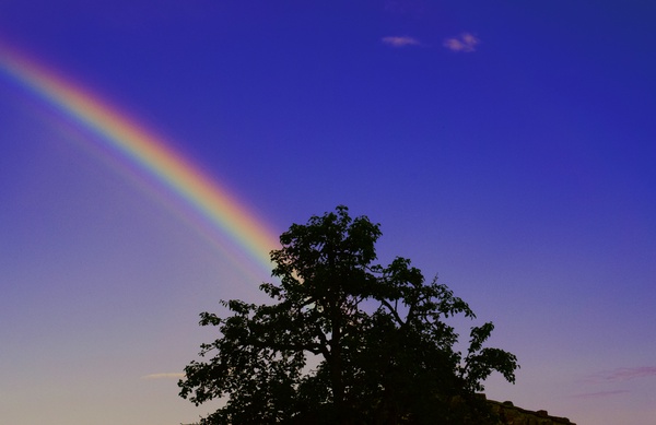 Image from: Threatened By Rainbows?