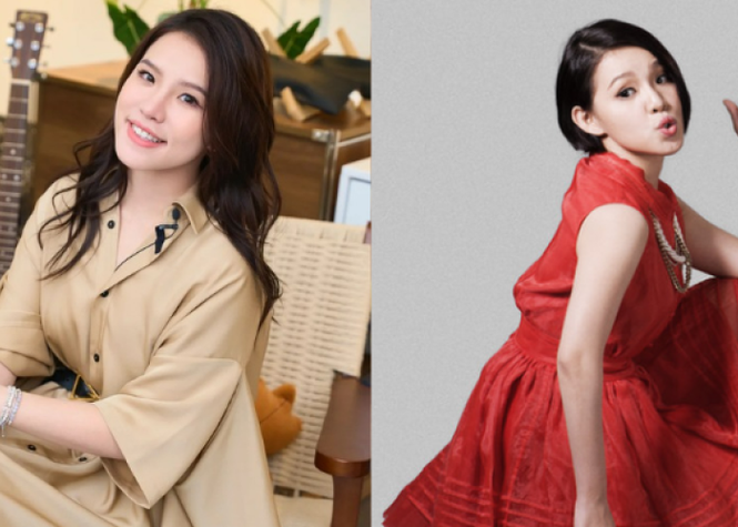 Image from: 填大马入境申请被诈骗，谢依霖误信假签证网站