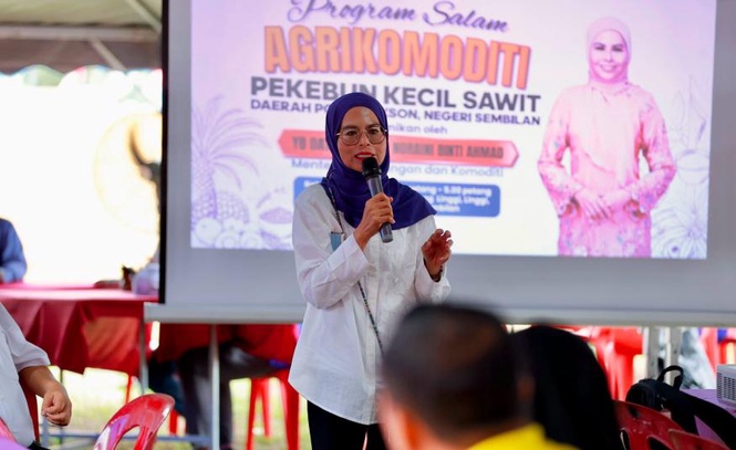 Image from: RM190 juta pembiayaan tanam semula sawit manfaatkan lebih 4,300 pekebun kecil