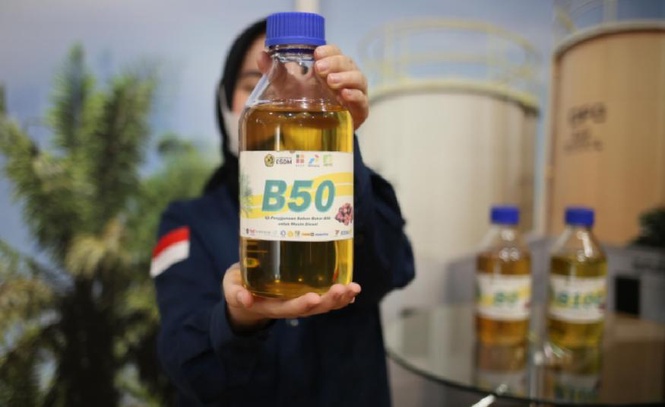 Image from: Peningkatan mandat biodiesel kepada B50 di Indonesia pacu prospek sektor perladangan Malaysia, kata HLIB