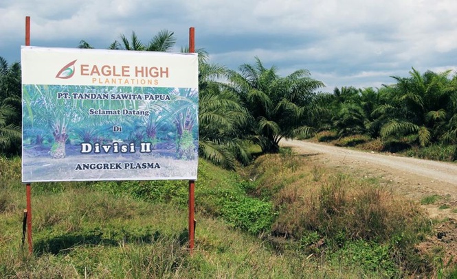 Image from: Anwar dapatkan bantuan Prabowo teliti isu pelaburan Felda dalam Eagle High Plantations