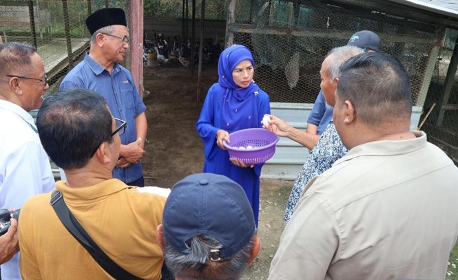 Image from: Integrasi ternakan itik di kebun sawit bawa rezeki berganda kepada pekebun kecil