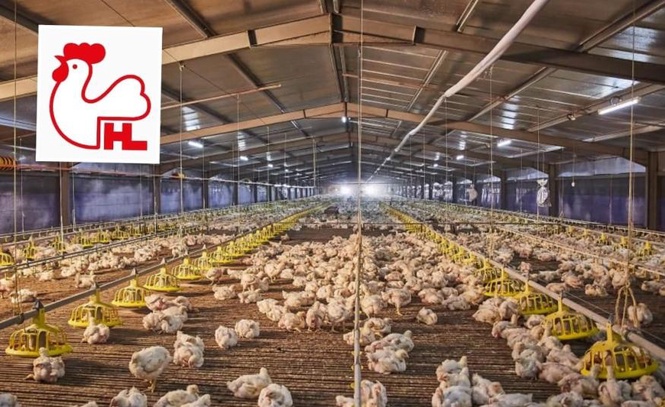 Image from: Huat Lai terima pembiayaan RM60 juta bangunkan ladang ayam moden di Melaka
