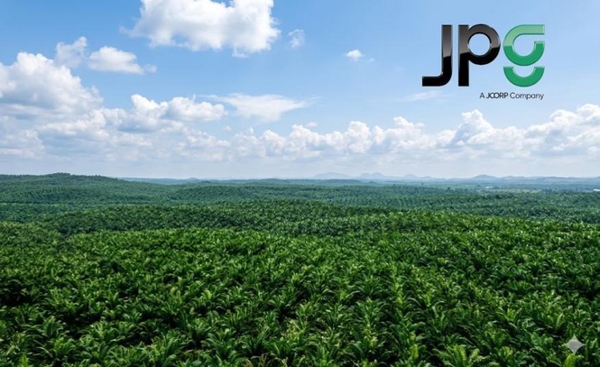 Image from: Prospek Johor Plantations disokong 82% pokok produktif, MBSB Research mulakan liputan saran 'beli' saham