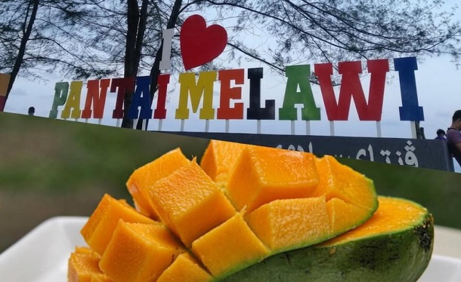 Image from: Kelantan mahu jadikan Melawi sebagai Zon Harum Manis Klate tanam 3,000 pokok setakat ini