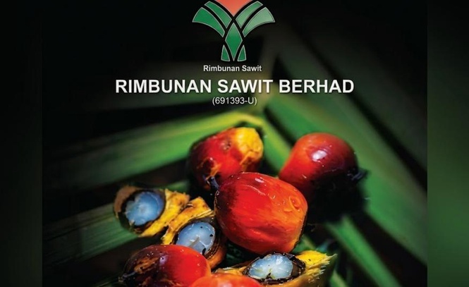 Image from: Liabiliti melebihi aset semasa: Juruaudit bangkitkan keraguan keupayaan Rimbunan Sawit terus beroperasi