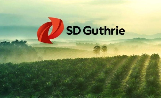 Image from: Pengeluaran rendah dikhuatiri ancam untung suku pertama SD Guthrie hingga 13%, kata UOBKH