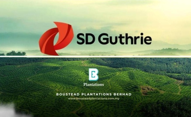 Image from: SD Guthrie dilihat calon paling berpotensi ambil alih Boustead Plantations - PublicInvest