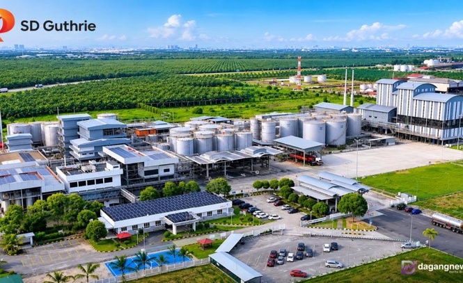 Image from: Permintaan biodiesel kukuh, harga minyak sawit berpotensi melepasi RM4,300 - TA Research