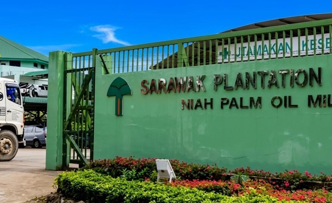Image from: Sarawak Plantation pulihkan 6,000 hektar ladang bermasalah, lonjak pengeluaran FFB