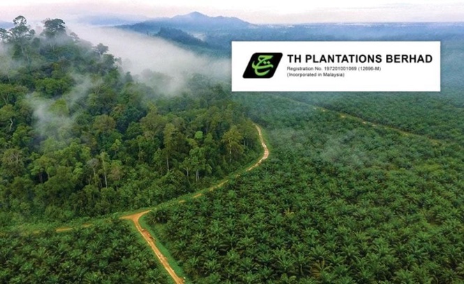 Image from: Untung TH Plantations susut 11.2% kepada RM28.5 juta pada 1H 2026