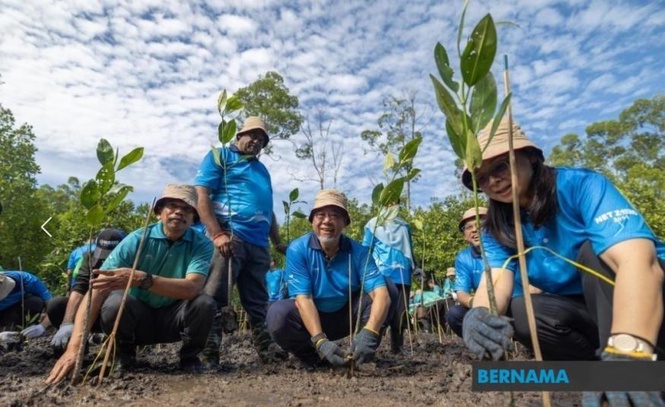 Image from: TNB perkukuh agenda ESG, tanam 25,000 pokok bakau
