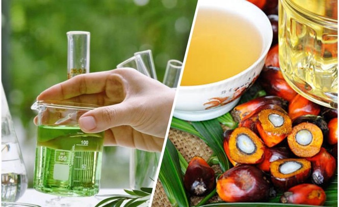 Image from: PhytoGaia komersialkan bahan sawit Malaysia dalam industri kecantikan dan kesihatan ke pasaran global