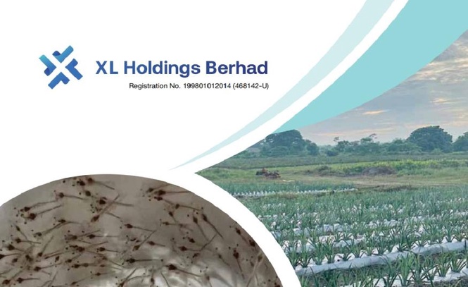 Image from: Pemegang saham XL Holdings luluskan usul ceburi perniagaan runcit dan borong barangan runcit