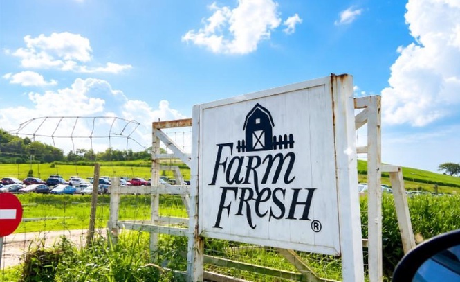 Image from: Penempatan persendirian RM200 juta Farm Fresh beri lebih fleksibiliti kewangan pada FY27 - TA Securities
