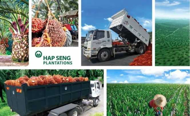 Image from: Pengeluaran buah tandan segar dijangka memuncak 4Q26, Hap Seng Plantations kekal pilihan 'Beli' - RHB Research