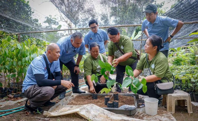 Image from: Projek pemulihan hutan oleh Yayasan Pemuliharaan Hijau Minyak Sawit Malaysia di Sabah raih pengiktirafan antarabangsa