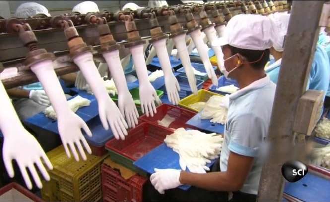Image from: Penyebaran wabak hantavirus tidak memberi kesan besar terhadap permintaan sarung tangan global buat masa ini – PublicInvest