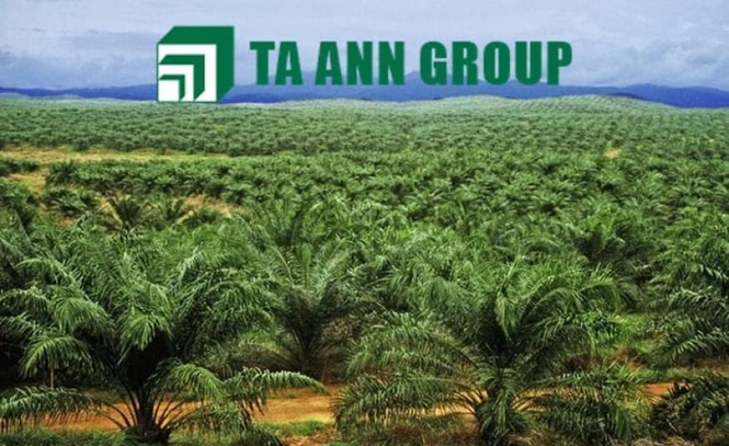 Image from: Ta Ann berpotensi tingkatkan dividen sehingga 8.3% - PublicInvest Research