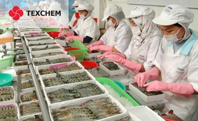 Image from: Pendapatan Texchem tumbuh 8.8% kepada RM309.5 juta bagi 2QFY26 dengan untung meningkat 524%